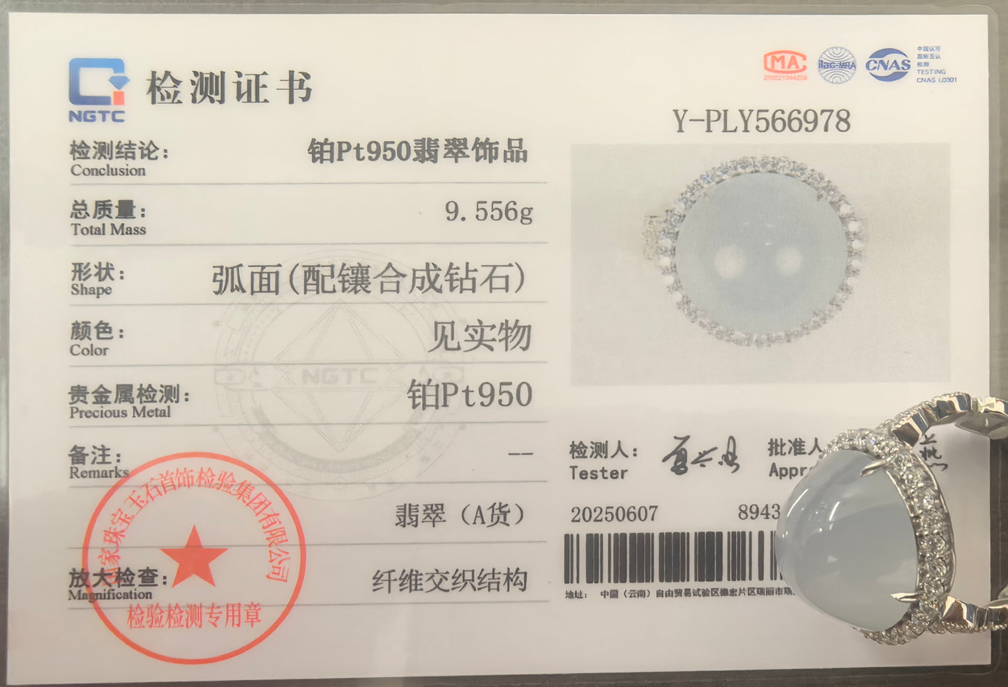 Natural Grade-A Jadeite “Pigeon-Egg” Cabochon Ring – Glutinous-Icy Burmese Jade, Platinum Pt950 Setting