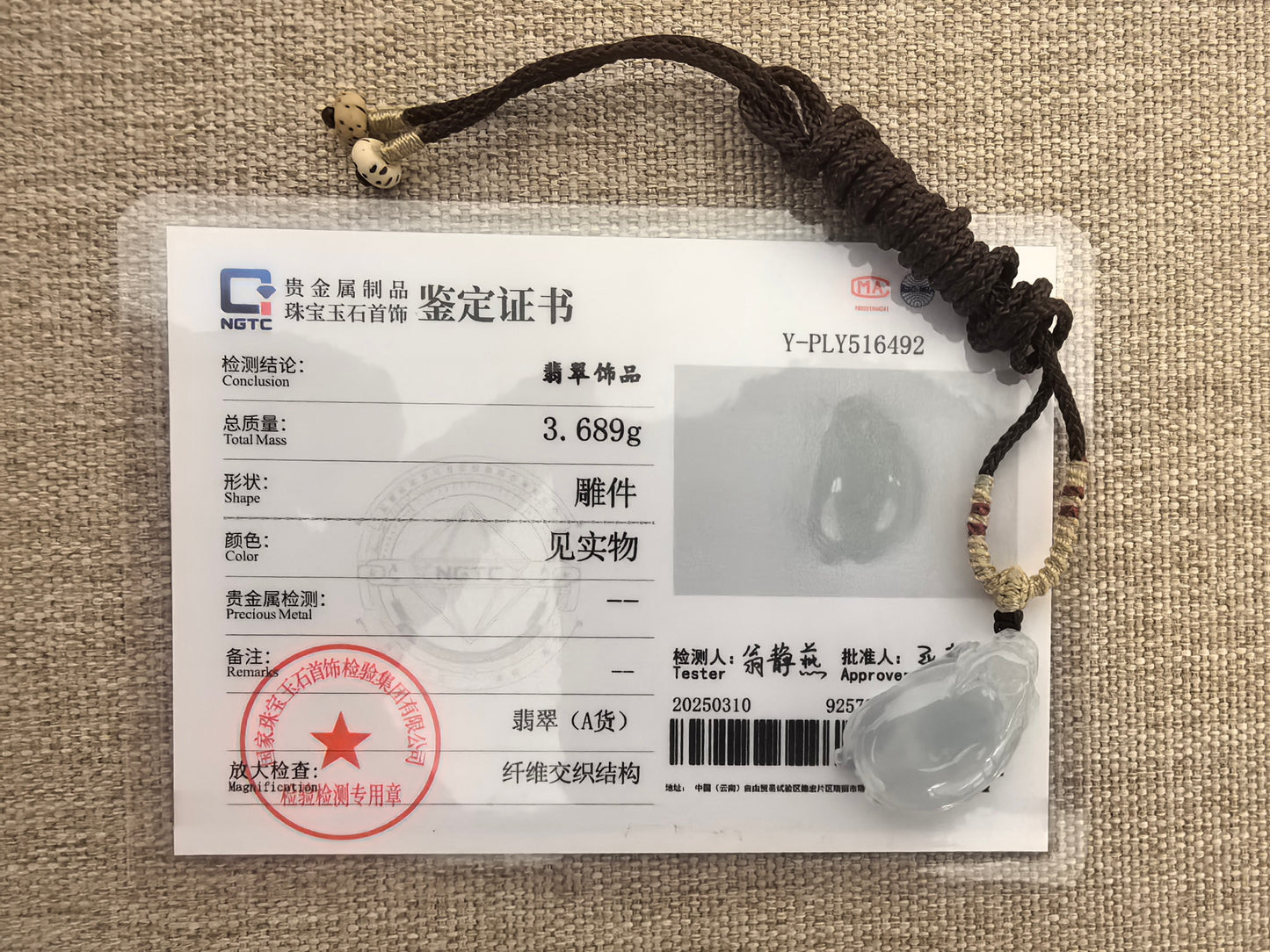 Natural Grade-A Icy Translucent Clean Dragon Turtle Jadeite Pendant ·Burmese Jade