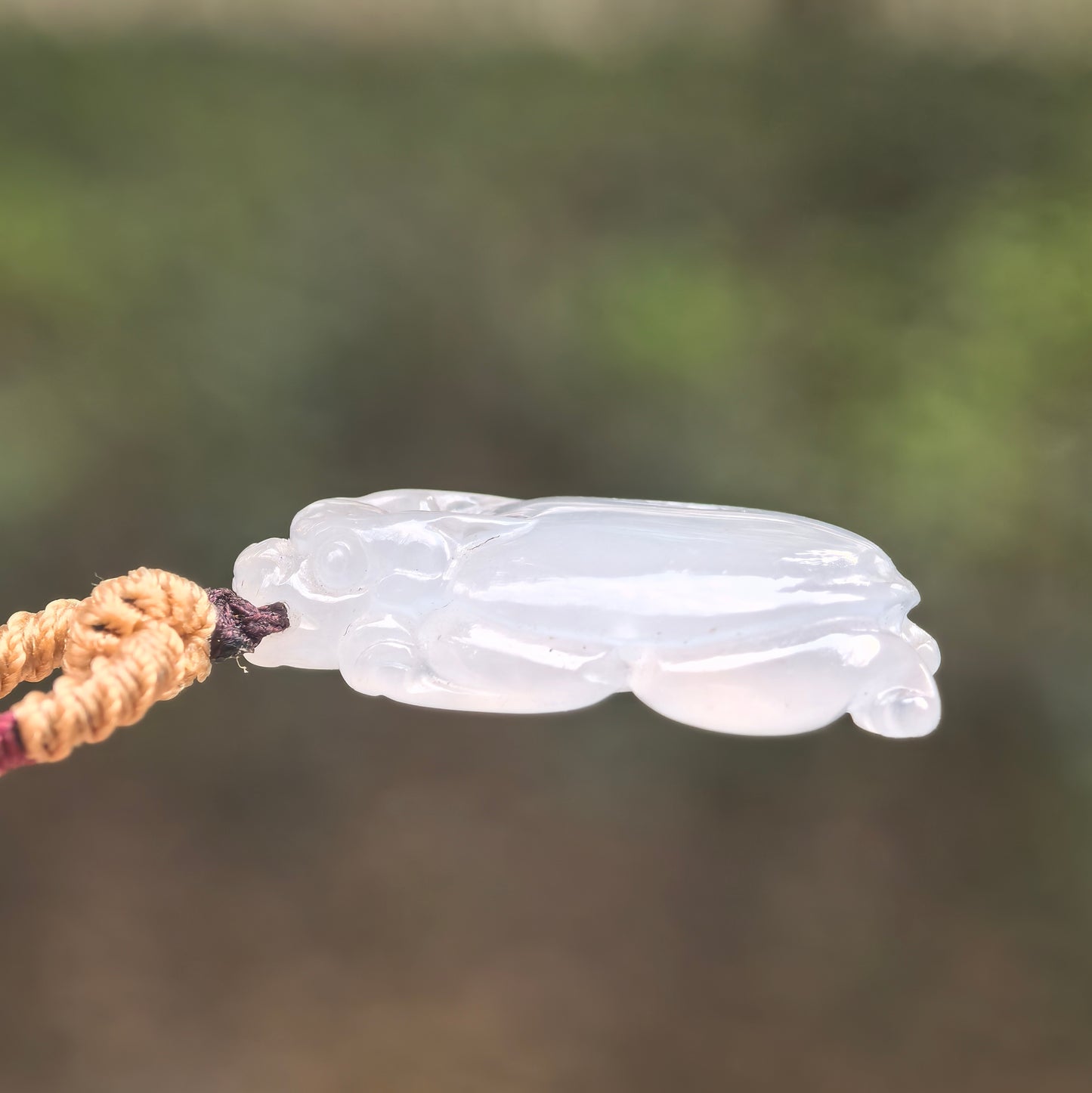 Natural Grade-A Icy Translucent Clean Dragon Turtle Jadeite Pendant ·Burmese Jade